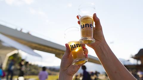 Two beer glasses toasting.