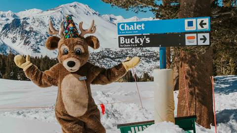 June Mountain's mascot, Bucky, standing next to the trail sign "Bucky's".
