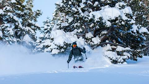 An advanced skier carving through deep powder at June Mountain