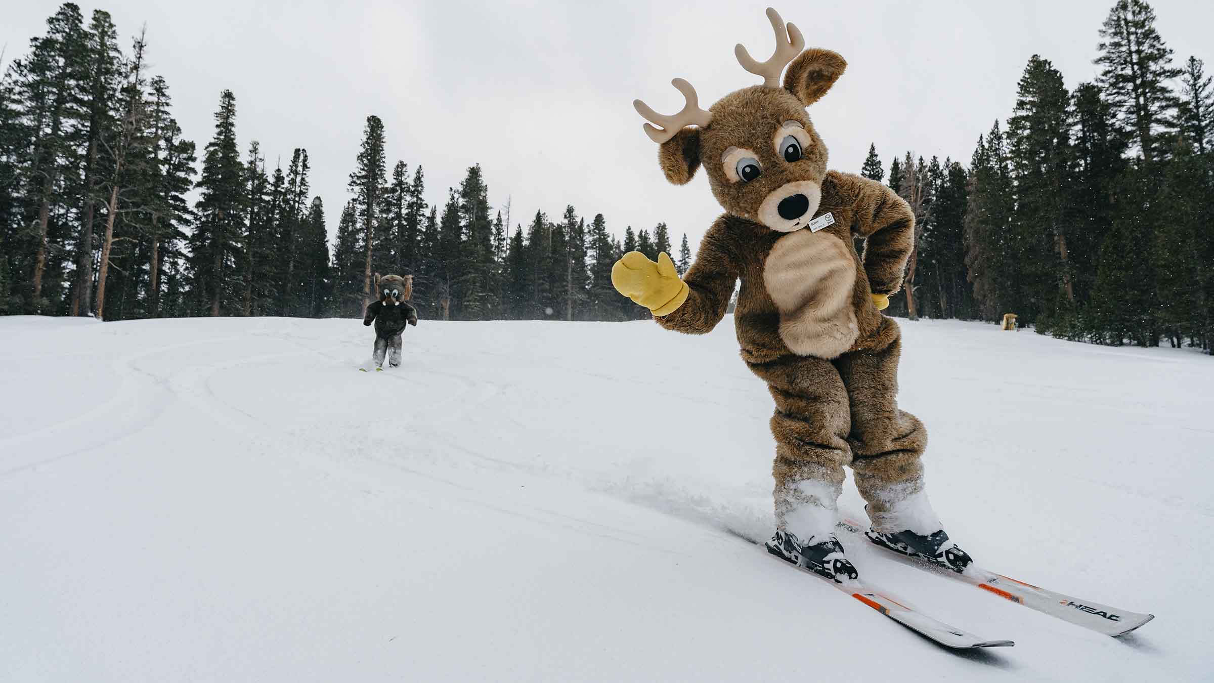 Opening Weekend | June Mountain