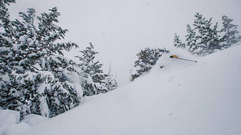 skier in deep powder
