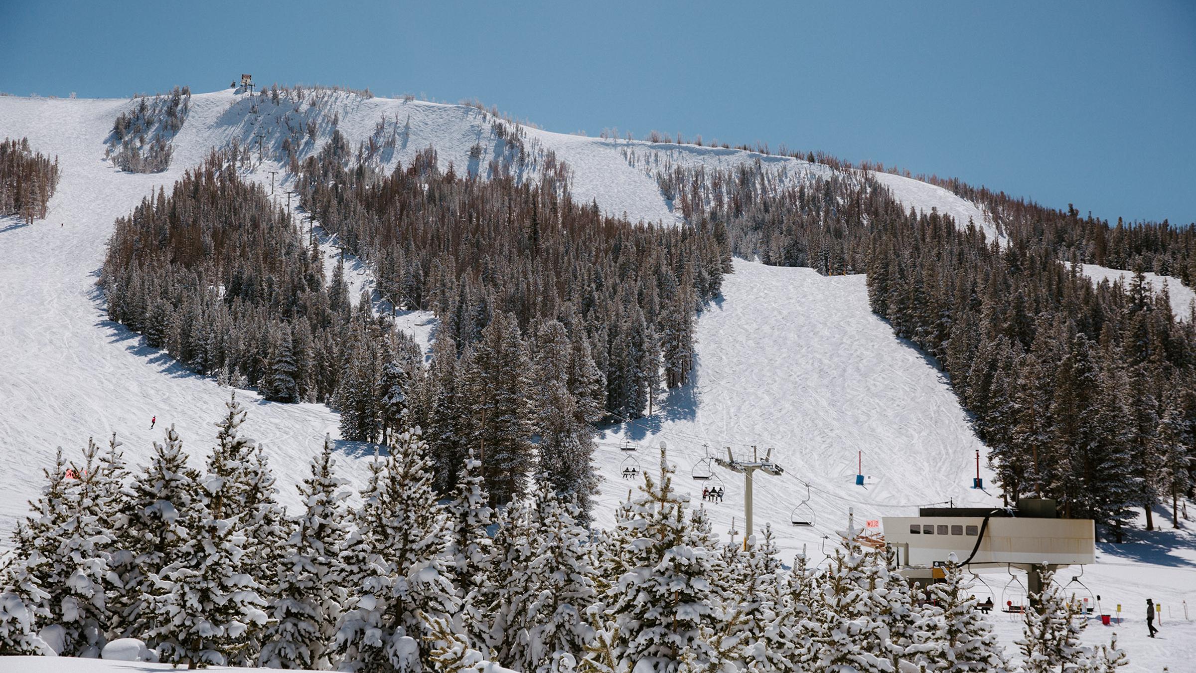 June Mountain Trail Map Official Trail Map | June Mountain Ski Area